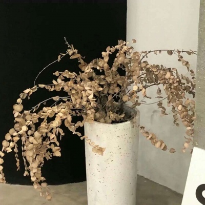 兽设火山场景创作兽圈社群